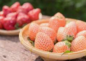 3 Super Fruits Japanese Recommended in Winter